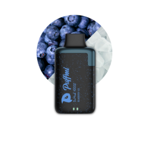 PUFFMI DuMesh 10000 - Blueberry Ice