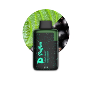 PUFFMI DuMesh 10000 - Aloe Blackcurrant
